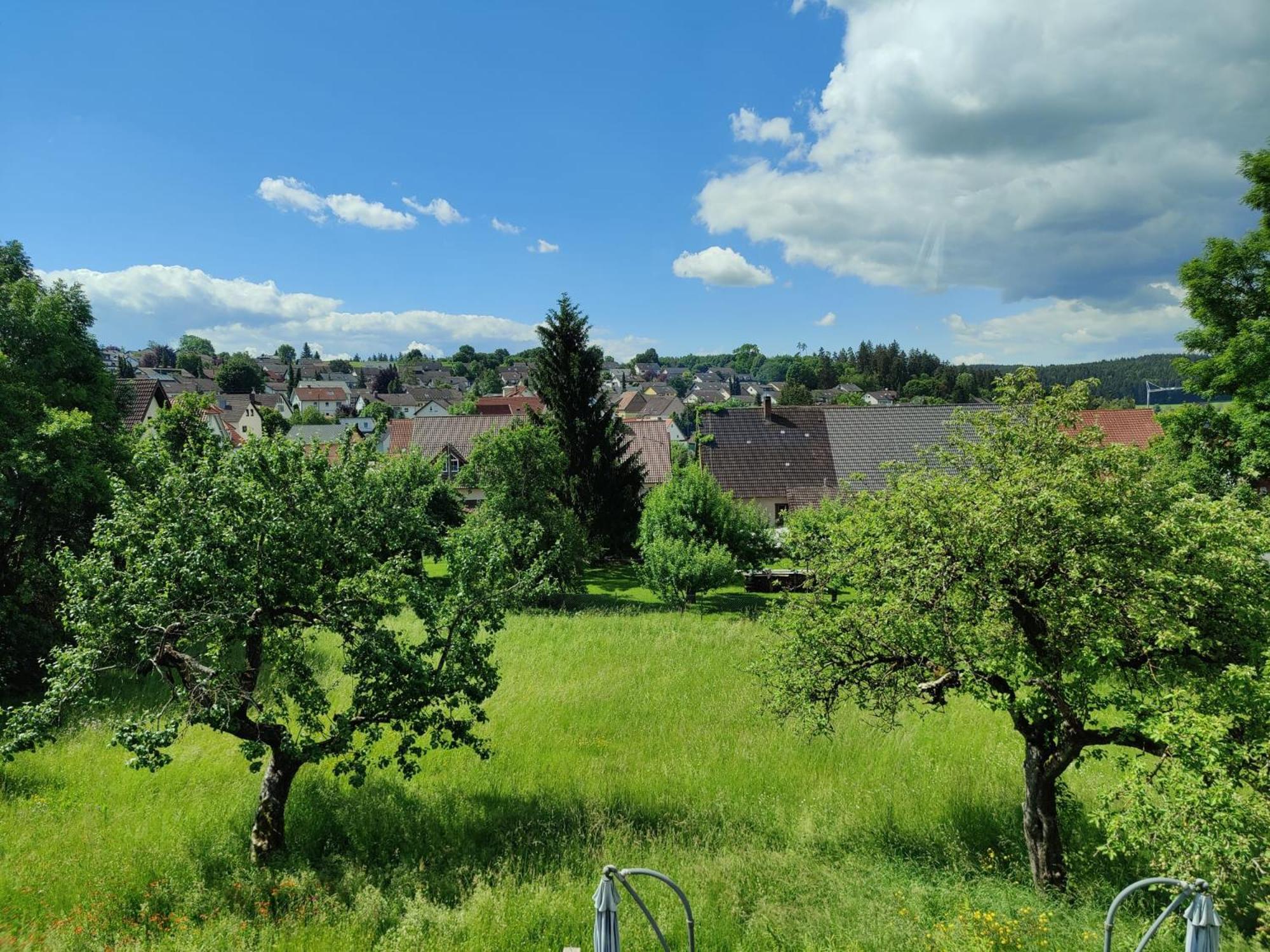 Appartement Ferien Im Schwarzwald - Brigachtal à Heergasse Extérieur photo